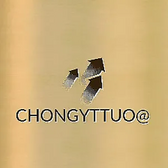 CHONGYTTUO Automatic washing machine Image