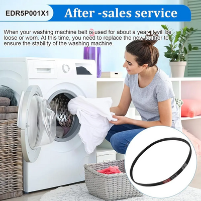 DZBQ EDR5P001X1 Image