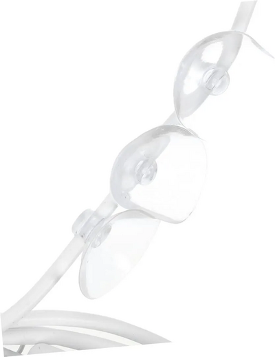 Homoyoyo E6TX15369VJYN48HXMR23IIVG Image