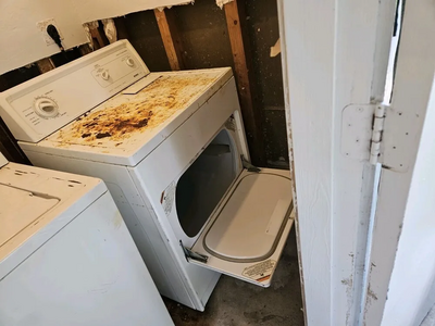 Kenmore AEG L7WB65689 Image