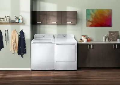 LG WT6105CW, DLE6100W Image