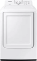 Samsung WA40A3005WPR Image