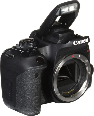 Canon Intl. R5 Image