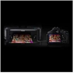 Canon Eos Image