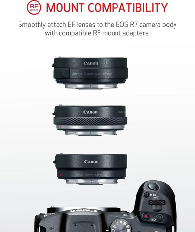 Canon R7(US)18-150ISSTM Image