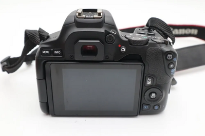 Canon EOS Rebel SL3 (EOS 250D / EOS Kiss X10) Image