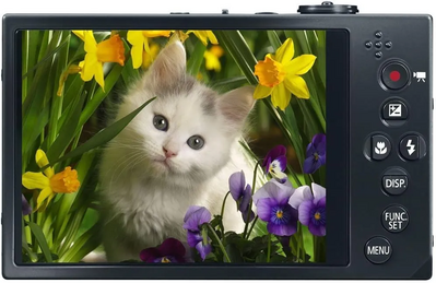 Canon PowerShot ELPH 520 HS Image