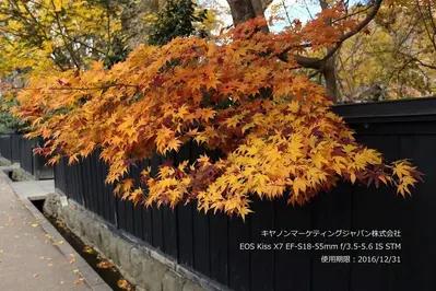 Canon EOS Kiss X7 Image