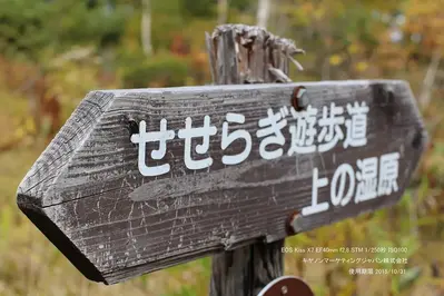 Canon EOS Kiss X7 Image