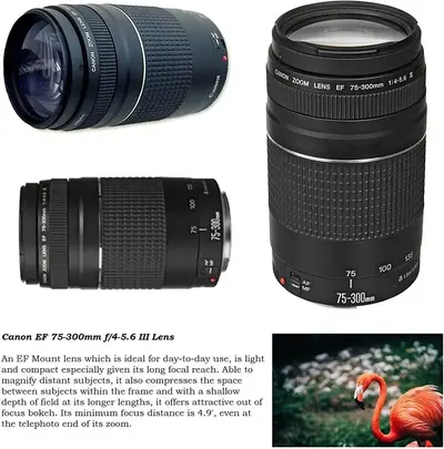 Canon Rebel SL2 Image