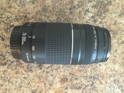 Canon EOS Rebel T2I Image