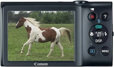 Canon PowerShot A2300 Image