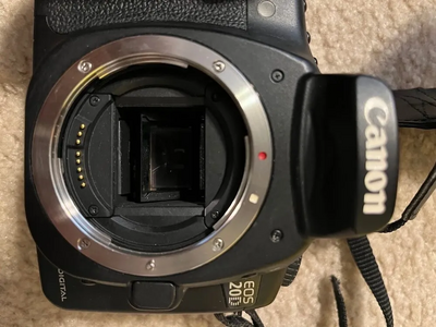 Canon 20D Image