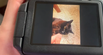 Canon EOS 77D Image