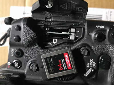 Canon 1DX Mark III Image