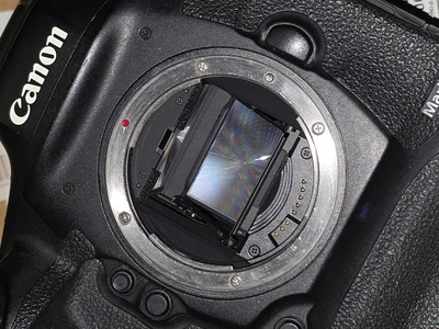 Canon 1DX Mark III Image