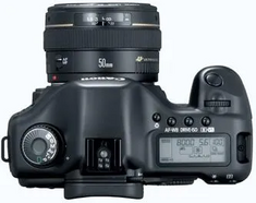 Canon 5D Mark II Image