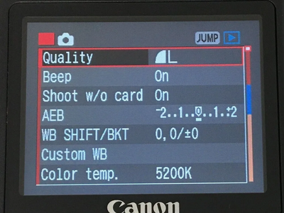 Canon 5D Mark II Image
