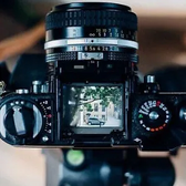 Canon 5D Mark II Image