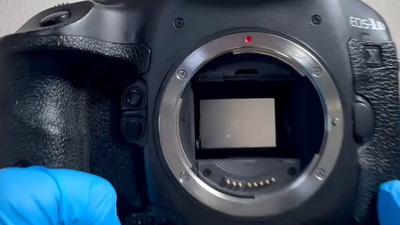 Canon Eos-1dx Image