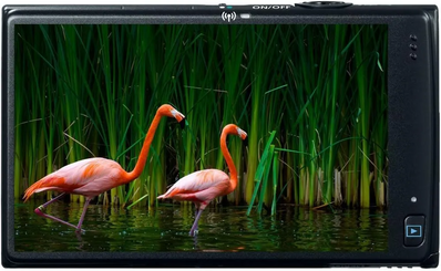 Canon PowerShot ELPH Image