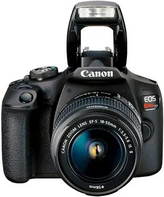 Canon Rebel T7 Image