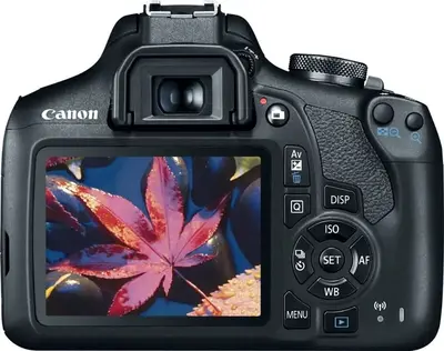 Canon Eos rebel t7 Image
