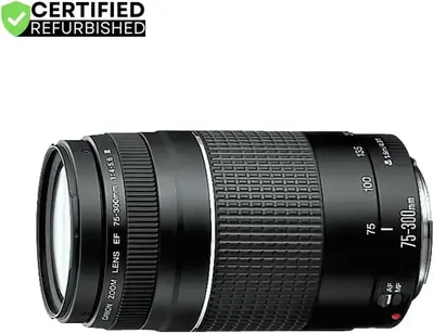Canon Rebel T7 Image