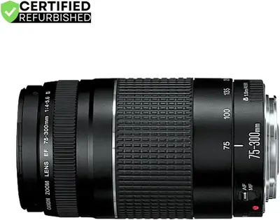 Canon Rebel T7 Image