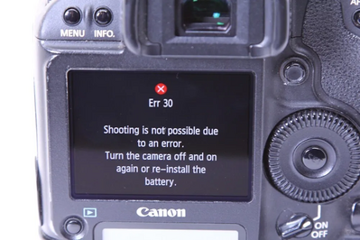 Canon 1D Mark IV Image