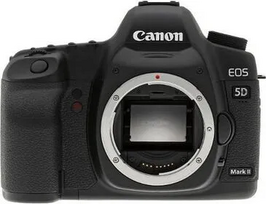 Canon 5D Image