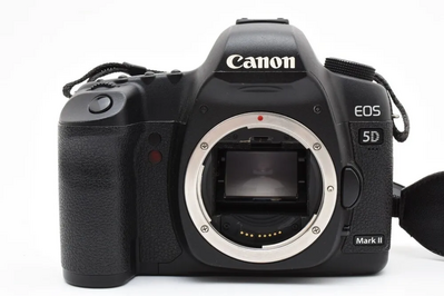 Canon 5D Image
