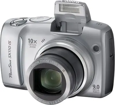 Canon Powershot SX110IS Image