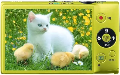 Canon PowerShot ELPH 110 Image