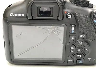 Canon Eos rebel t6 Image