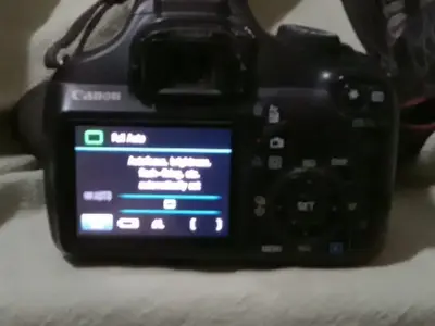 Canon 045 Image