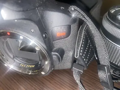 Canon EOS 800D (EOS Rebel T7i / Kiss X9i) Image