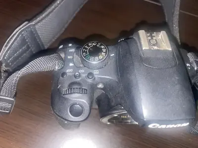 Canon EOS 800D (EOS Rebel T7i / Kiss X9i) Image