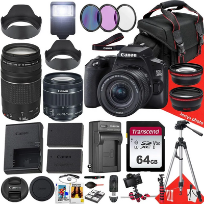 Canon EOS 250D Image