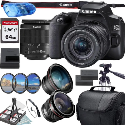 Canon EOS 250D Image