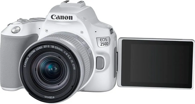 Canon EOS 250D Image