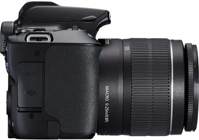 Canon EOS 250D Image