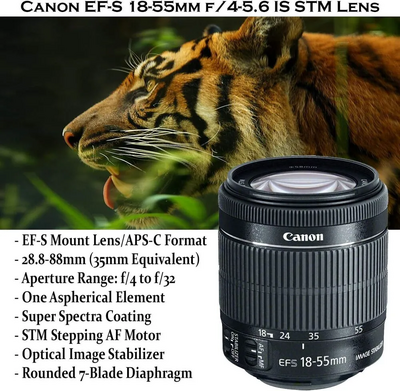 Canon EOS 250D Image