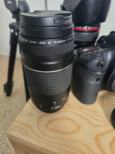 Canon 6D Image
