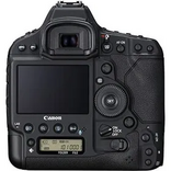 Canon 1D X Mark II Image