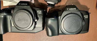 Canon Digital Rebel XT Image