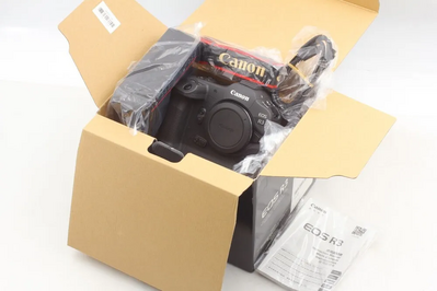 Canon R3 Image
