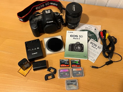 Canon 5D Mark II Image