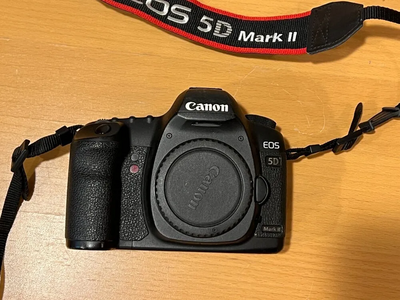 Canon 5D Mark II Image