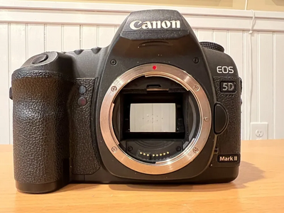 Canon 5D Mark II Image